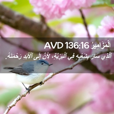 Picture 02 - اَلْمَزَامِيرُ 136:16 AVD - ٱلَّذِي سَارَ بِشَعْبِهِ - Bible Verse Picture