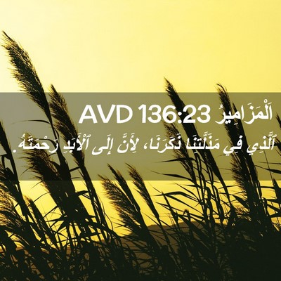 Picture 02 - اَلْمَزَامِيرُ 136:23 AVD - ٱلَّذِي فِي مَذَلَّتِنَا - Bible Verse Picture