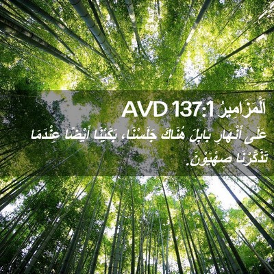Picture 02 - اَلْمَزَامِيرُ 137:1 AVD - عَلَى أَنْهَارِ بَابِلَ - Bible Verse Picture