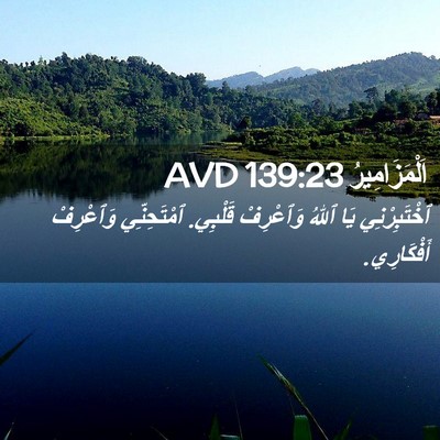 Picture 02 - اَلْمَزَامِيرُ 139:23 AVD - ٱخْتَبِرْنِي يَا ٱللهُ - Bible Verse Picture
