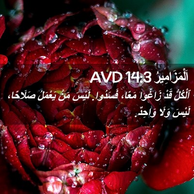 Picture 02 - اَلْمَزَامِيرُ 14:3 AVD - ٱلْكُلُّ قَدْ زَاغُوا - Bible Verse Picture