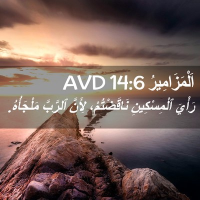 Picture 02 - اَلْمَزَامِيرُ 14:6 AVD - رَأْيَ ٱلْمِسْكِينِ - Bible Verse Picture