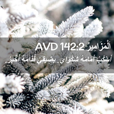 Picture 02 - اَلْمَزَامِيرُ 142:2 AVD - أَسْكُبُ أَمَامَهُ - Bible Verse Picture