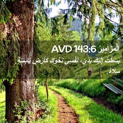 Picture 02 - اَلْمَزَامِيرُ 143:6 AVD - بَسَطْتُ إِلَيْكَ - Bible Verse Picture