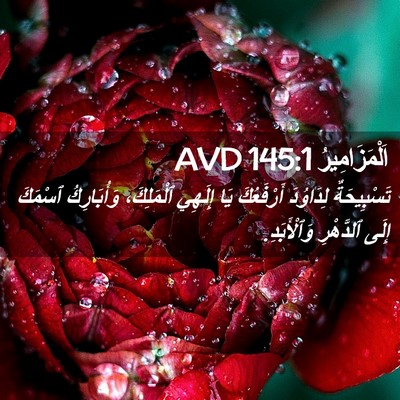 Picture 02 - اَلْمَزَامِيرُ 145:1 AVD - تَسْبِيحَةٌ لِدَاوُدَ - Bible Verse Picture