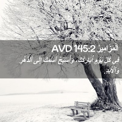 Picture 02 - اَلْمَزَامِيرُ 145:2 AVD - فِي كُلِّ يَوْمٍ - Bible Verse Picture