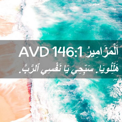 Picture 02 - اَلْمَزَامِيرُ 146:1 AVD - هَلِّلُويَا. سَبِّحِي يَا - Bible Verse Picture