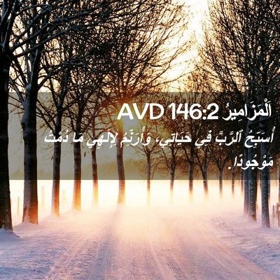 Picture 02 - اَلْمَزَامِيرُ 146:2 AVD - أُسَبِّحُ ٱلرَّبَّ فِي - Bible Verse Picture