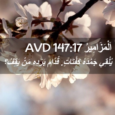 Picture 02 - اَلْمَزَامِيرُ 147:17 AVD - يُلْقِي جَمْدَهُ - Bible Verse Picture