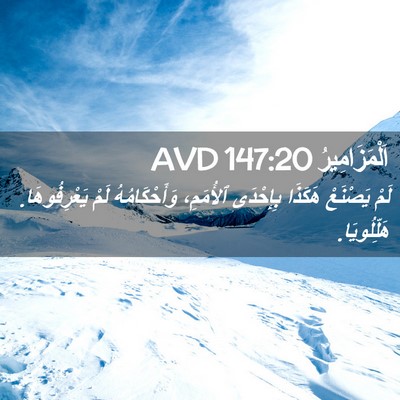 Picture 02 - اَلْمَزَامِيرُ 147:20 AVD - لَمْ يَصْنَعْ هَكَذَا - Bible Verse Picture