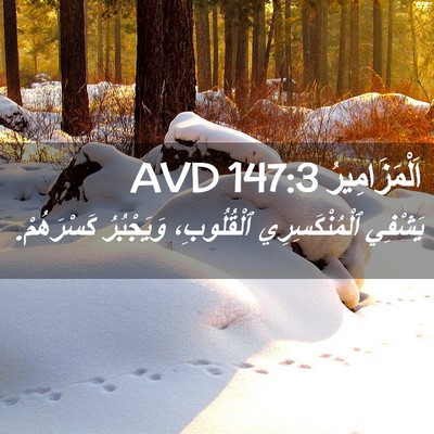 Picture 02 - اَلْمَزَامِيرُ 147:3 AVD - يَشْفِي ٱلْمُنْكَسِرِي - Bible Verse Picture