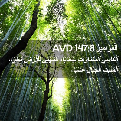 Picture 02 - اَلْمَزَامِيرُ 147:8 AVD - ٱلْكَاسِي ٱلسَّمَاوَاتِ - Bible Verse Picture