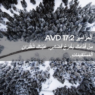Picture 02 - اَلْمَزَامِيرُ 17:2 AVD - مِنْ قُدَّامِكَ يَخْرُجُ - Bible Verse Picture