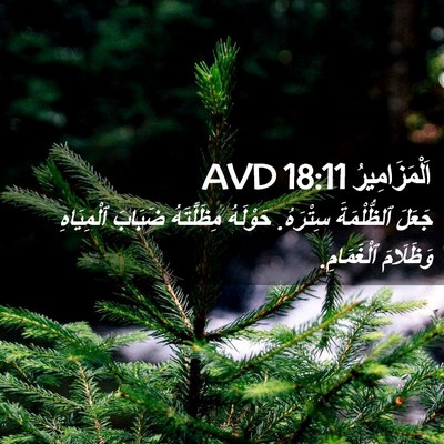 Picture 02 - اَلْمَزَامِيرُ 18:11 AVD - جَعَلَ ٱلظُّلْمَةَ - Bible Verse Picture