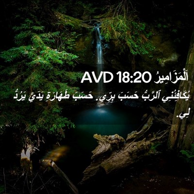 Picture 02 - اَلْمَزَامِيرُ 18:20 AVD - يُكَافِئُنِي ٱلرَّبُّ - Bible Verse Picture