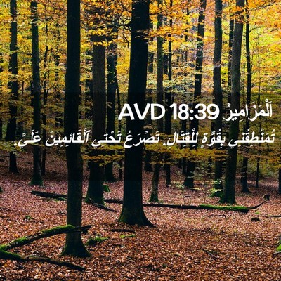 Picture 02 - اَلْمَزَامِيرُ 18:39 AVD - تُمَنْطِقُنِي بِقُوَّةٍ - Bible Verse Picture