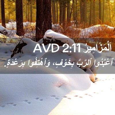 Picture 02 - اَلْمَزَامِيرُ 2:11 AVD - ٱعْبُدُوا ٱلرَّبَّ - Bible Verse Picture
