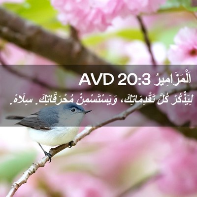 Picture 02 - اَلْمَزَامِيرُ 20:3 AVD - لِيَذْكُرْ كُلَّ - Bible Verse Picture