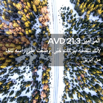 Picture 02 - اَلْمَزَامِيرُ 21:3 AVD - لِأَنَّكَ تَتَقَدَّمُهُ - Bible Verse Picture