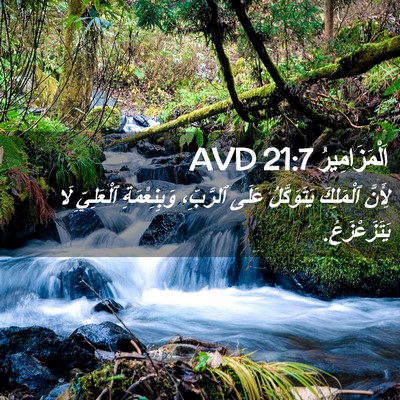 Picture 02 - اَلْمَزَامِيرُ 21:7 AVD - لِأَنَّ ٱلْمَلِكَ - Bible Verse Picture