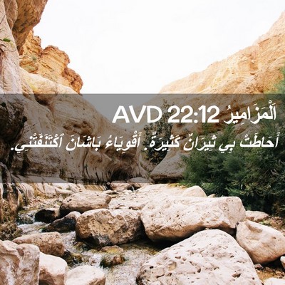 Picture 02 - اَلْمَزَامِيرُ 22:12 AVD - أَحَاطَتْ بِي ثِيرَانٌ - Bible Verse Picture