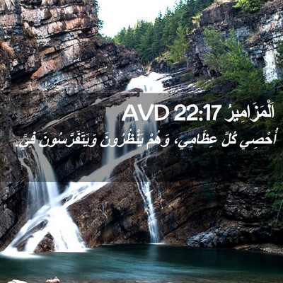 Picture 02 - اَلْمَزَامِيرُ 22:17 AVD - أُحْصِي كُلَّ عِظَامِي، - Bible Verse Picture