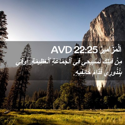 Picture 02 - اَلْمَزَامِيرُ 22:25 AVD - مِنْ قِبَلِكَ تَسْبِيحِي - Bible Verse Picture