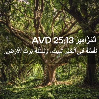 Picture 02 - اَلْمَزَامِيرُ 25:13 AVD - نَفْسُهُ فِي ٱلْخَيْرِ - Bible Verse Picture