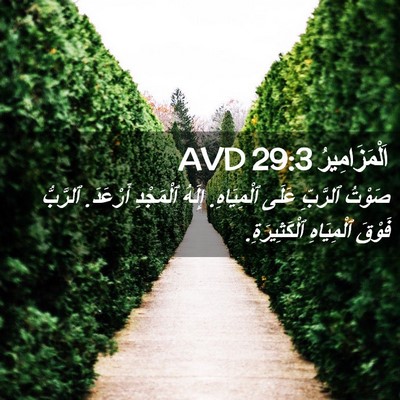 Picture 02 - اَلْمَزَامِيرُ 29:3 AVD - صَوْتُ ٱلرَّبِّ عَلَى - Bible Verse Picture