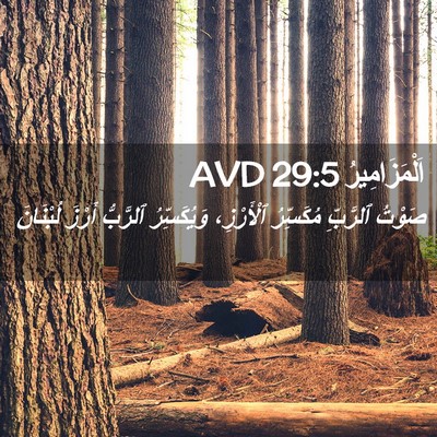 Picture 02 - اَلْمَزَامِيرُ 29:5 AVD - صَوْتُ ٱلرَّبِّ مُكَسِّرُ - Bible Verse Picture