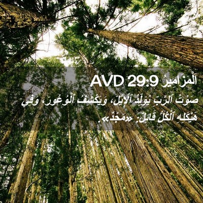 Picture 02 - اَلْمَزَامِيرُ 29:9 AVD - صَوْتُ ٱلرَّبِّ يُوَلِّدُ - Bible Verse Picture