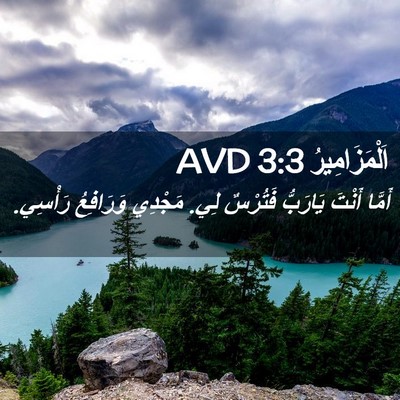 Picture 02 - اَلْمَزَامِيرُ 3:3 AVD - أَمَّا أَنْتَ يَارَبُّ - Bible Verse Picture