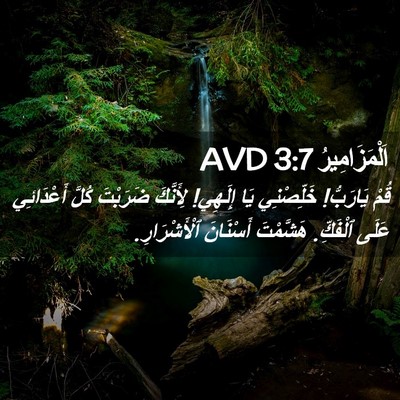 Picture 02 - اَلْمَزَامِيرُ 3:7 AVD - قُمْ يَارَبُّ! خَلِّصْنِي - Bible Verse Picture