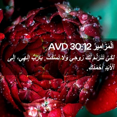 Picture 02 - اَلْمَزَامِيرُ 30:12 AVD - لِكَيْ تَتَرَنَّمَ لَكَ - Bible Verse Picture