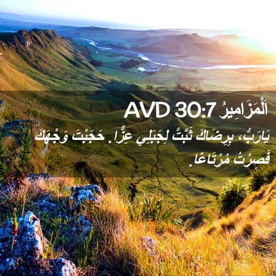 Picture 02 - اَلْمَزَامِيرُ 30:7 AVD - يَارَبُّ، بِرِضَاكَ - Bible Verse Picture
