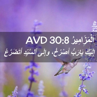 Picture 02 - اَلْمَزَامِيرُ 30:8 AVD - إِلَيْكَ يَارَبُّ - Bible Verse Picture