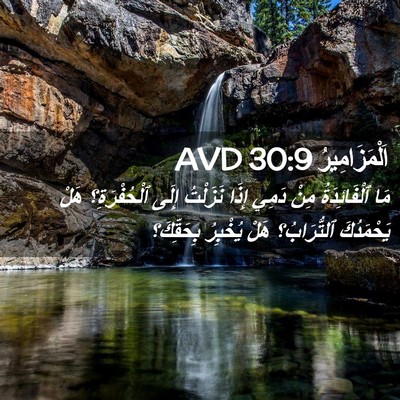 Picture 02 - اَلْمَزَامِيرُ 30:9 AVD - مَا ٱلْفَائِدَةُ مِنْ - Bible Verse Picture