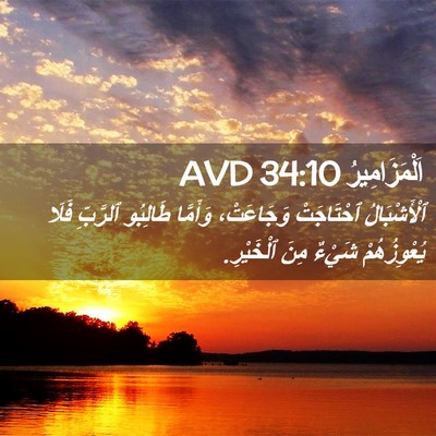 Picture 02 - اَلْمَزَامِيرُ 34:10 AVD - ٱلْأَشْبَالُ ٱحْتَاجَتْ - Bible Verse Picture