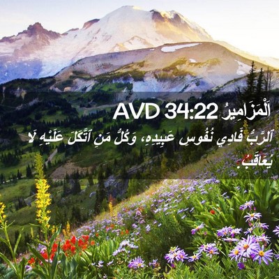 Picture 02 - اَلْمَزَامِيرُ 34:22 AVD - ٱلرَّبُّ فَادِي نُفُوسِ - Bible Verse Picture