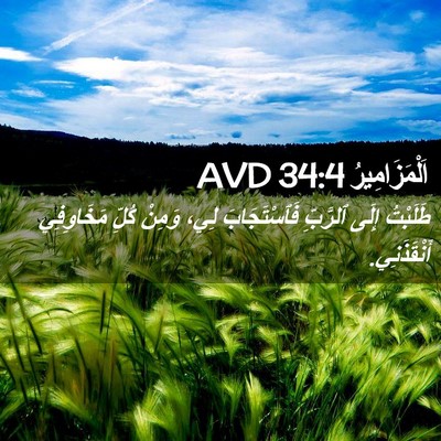 Picture 02 - اَلْمَزَامِيرُ 34:4 AVD - طَلَبْتُ إِلَى ٱلرَّبِّ - Bible Verse Picture