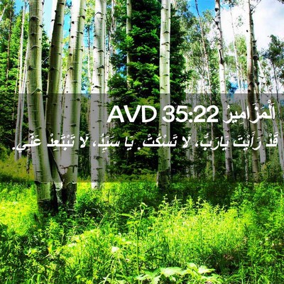 Picture 02 - اَلْمَزَامِيرُ 35:22 AVD - قَدْ رَأَيْتَ يَارَبُّ، - Bible Verse Picture