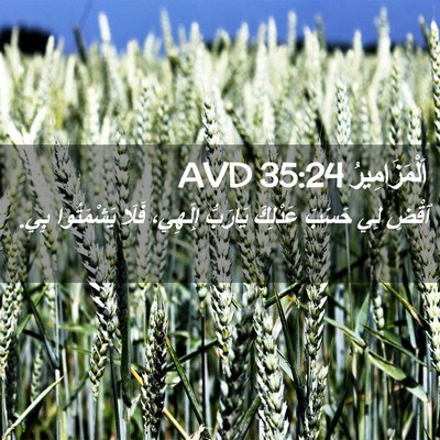 Picture 02 - اَلْمَزَامِيرُ 35:24 AVD - ٱقْضِ لِي حَسَبَ عَدْلِكَ - Bible Verse Picture