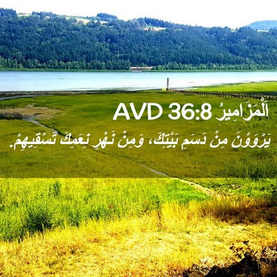 Picture 02 - اَلْمَزَامِيرُ 36:8 AVD - يَرْوَوْنَ مِنْ دَسَمِ - Bible Verse Picture
