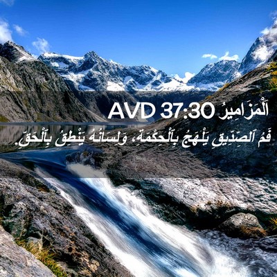 Picture 02 - اَلْمَزَامِيرُ 37:30 AVD - فَمُ ٱلصِّدِّيقِ يَلْهَجُ - Bible Verse Picture