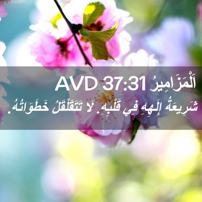 Picture 02 - اَلْمَزَامِيرُ 37:31 AVD - شَرِيعَةُ إِلَهِهِ فِي - Bible Verse Picture