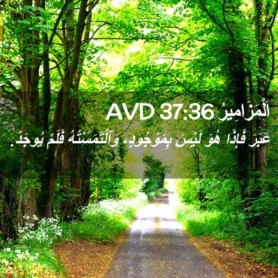 Picture 02 - اَلْمَزَامِيرُ 37:36 AVD - عَبَرَ فَإِذَا هُوَ لَيْسَ - Bible Verse Picture