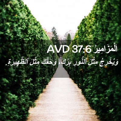 Picture 02 - اَلْمَزَامِيرُ 37:6 AVD - وَيُخْرِجُ مِثْلَ - Bible Verse Picture