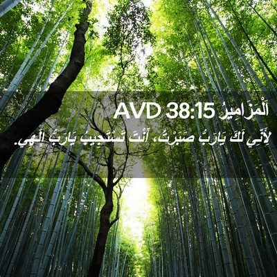 Picture 02 - اَلْمَزَامِيرُ 38:15 AVD - لِأَنِّي لَكَ يَارَبُّ - Bible Verse Picture