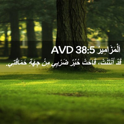 Picture 02 - اَلْمَزَامِيرُ 38:5 AVD - قَدْ أَنْتَنَتْ، قَاحَتْ - Bible Verse Picture