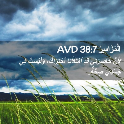 Picture 02 - اَلْمَزَامِيرُ 38:7 AVD - لِأَنَّ خَاصِرَتَيَّ قَدِ - Bible Verse Picture